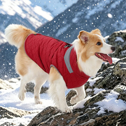 Warm Quilted Winter Dog Coat