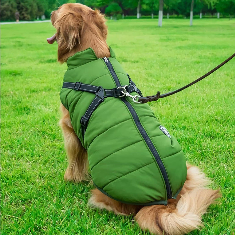 Padded Dog Winter Coat with Built-In Harness