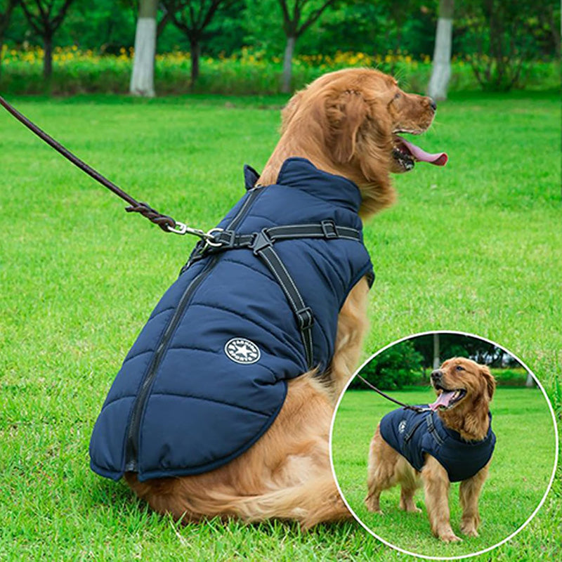 Padded Dog Winter Coat with Built-In Harness