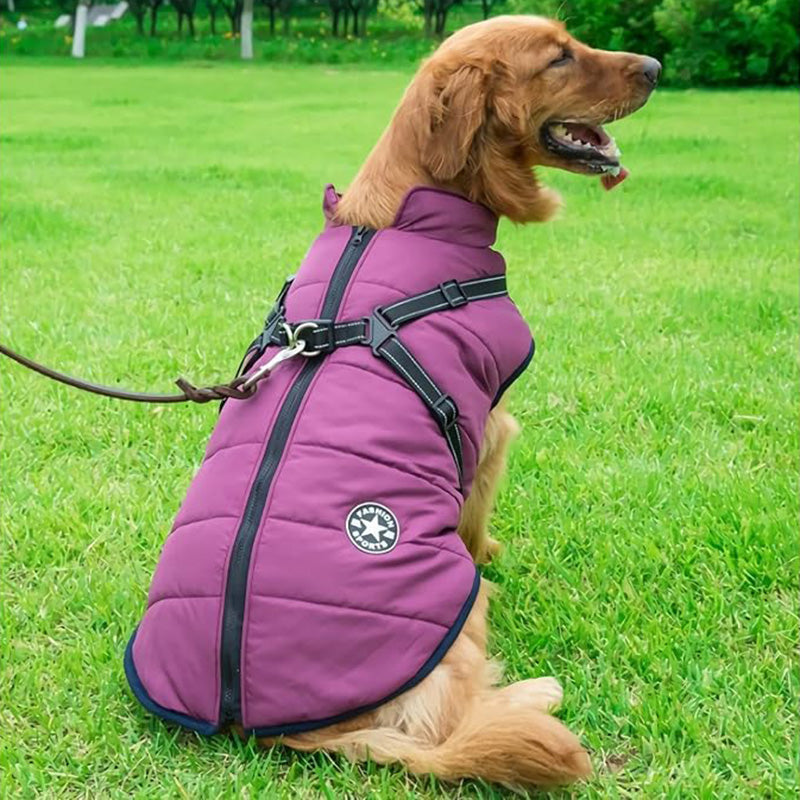 Padded Dog Winter Coat with Built-In Harness