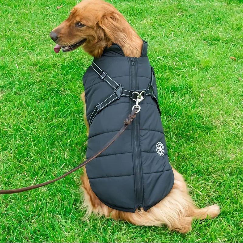 Padded Dog Winter Coat with Built-In Harness