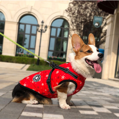 Padded Dog Winter Coat with Built-In Harness