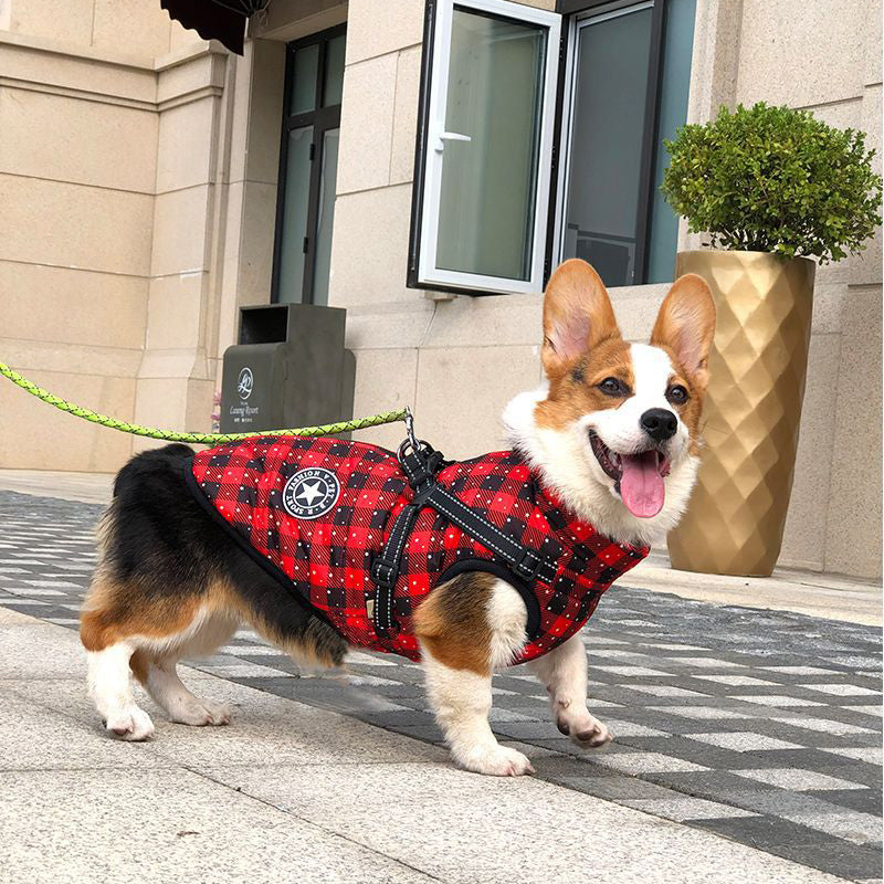 Padded Dog Winter Coat with Built-In Harness