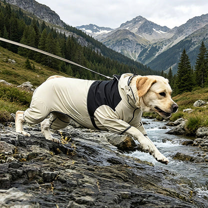 Waterproof Dog Rain Suit | Full-Body Rain & Mud Protection