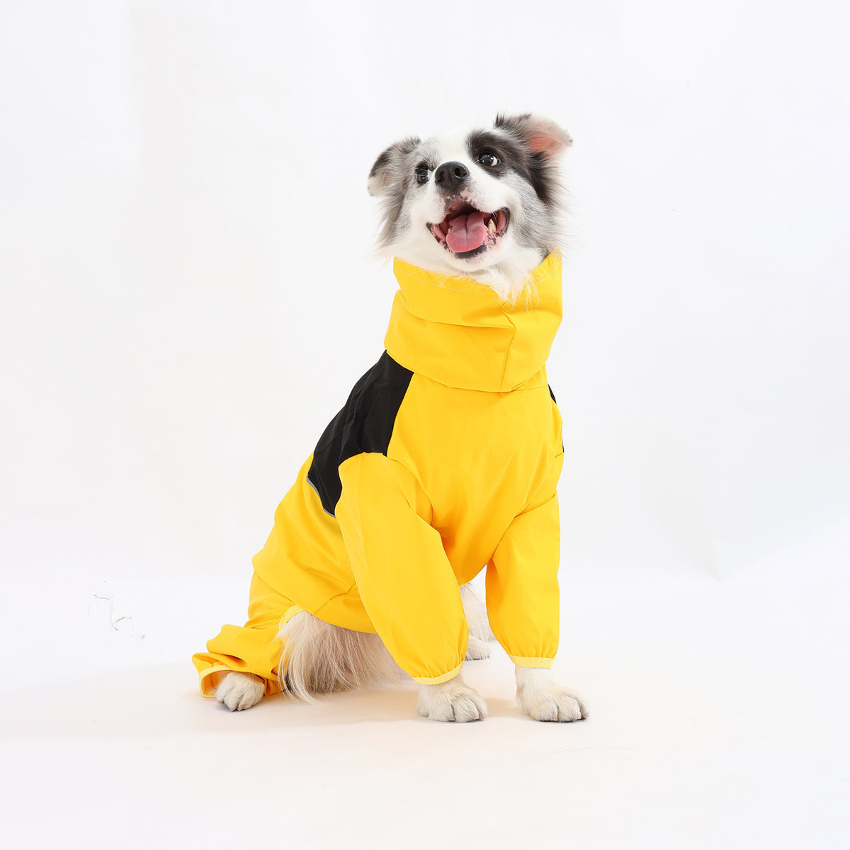 Waterproof Dog Rain Suit | Full-Body Rain & Mud Protection
