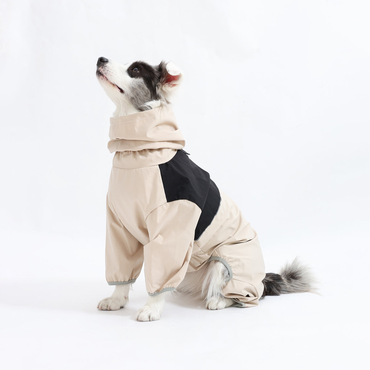 Waterproof Dog Rain Suit | Full-Body Rain & Mud Protection