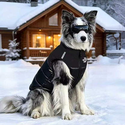 Dog Winter Coat with Reflective Details