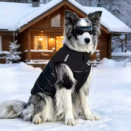 Dog Winter Coat with Reflective Details