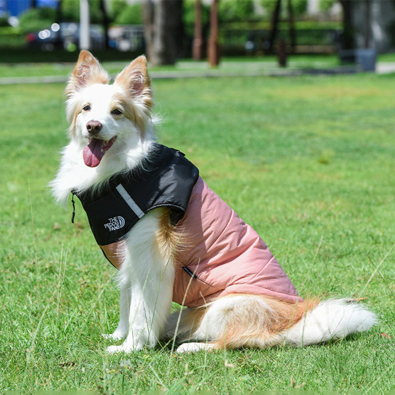 Dog Winter Coat with Reflective Details