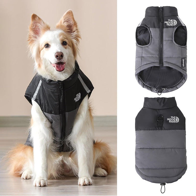 Dog Winter Coat with Reflective Details