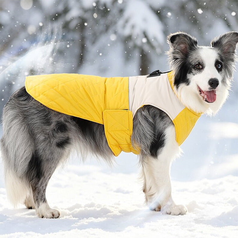 Quilted Dog Winter Coat