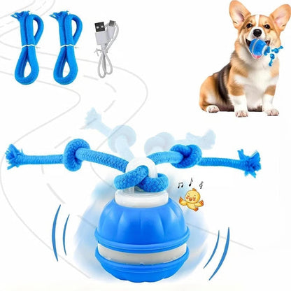 7 Reasons This Smart Interactive Ball Is Changing Dogs’ Lives — Happy, Active & Calm