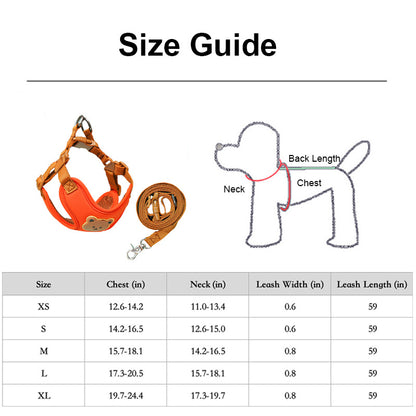 Cute Bear Adjustable Pet Harness with Free Leash